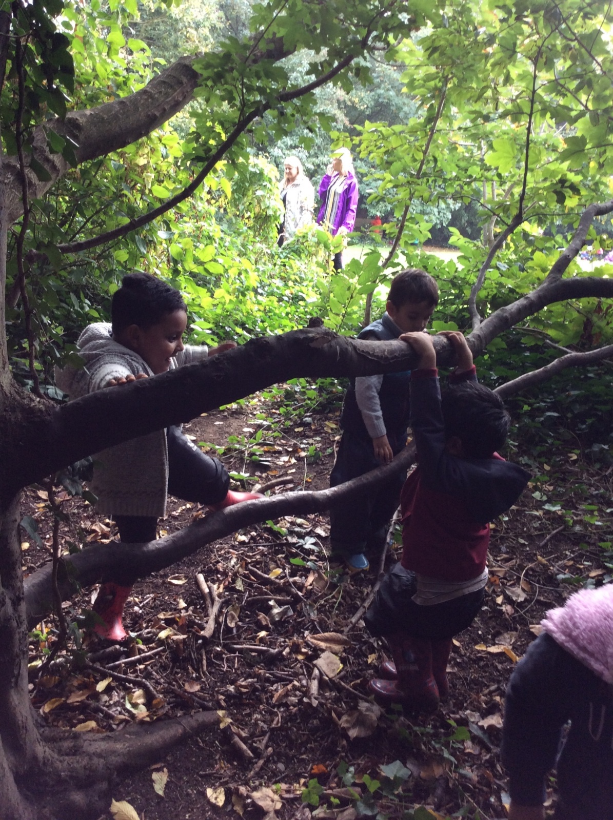 North Beckton Primary School - Climbing Trees